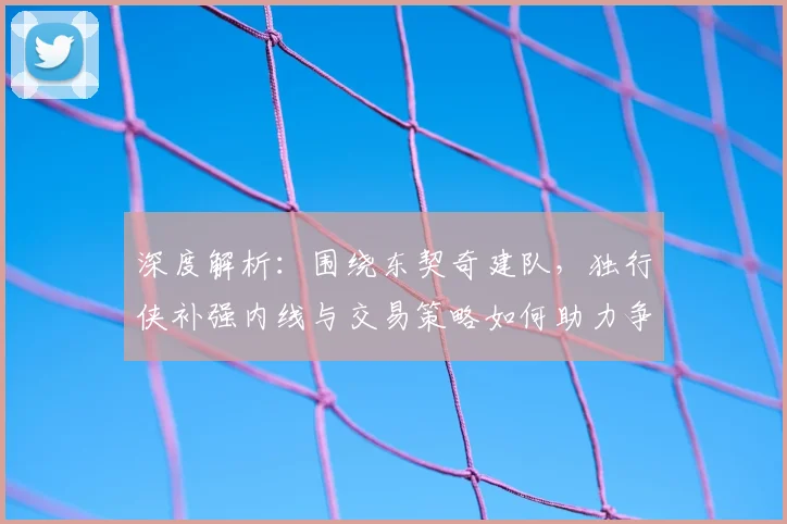 深度解析:围绕东契奇建队,独行侠补强内线与交易策略如何助力争冠?